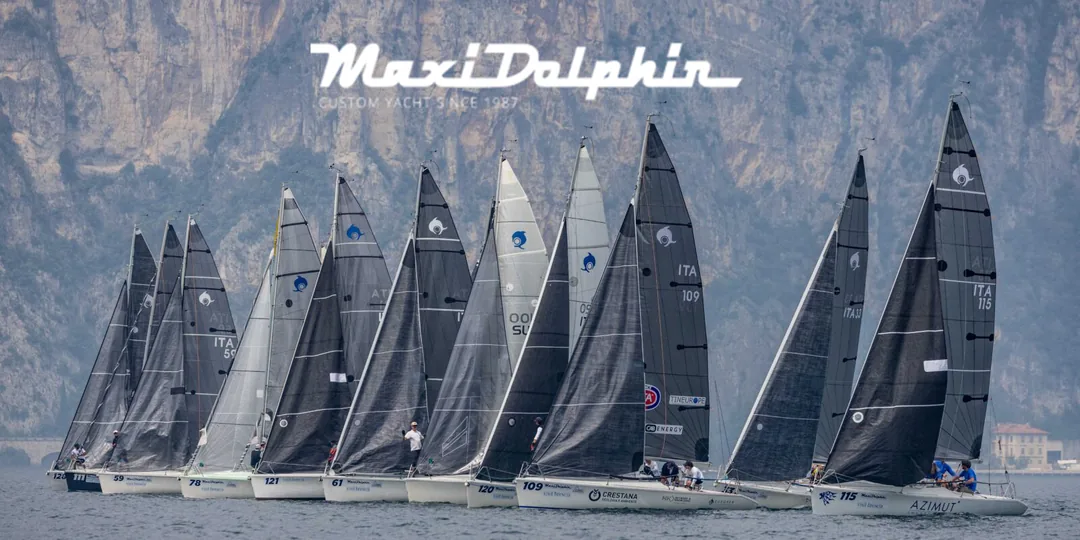 DOLPHIN 81 sailing