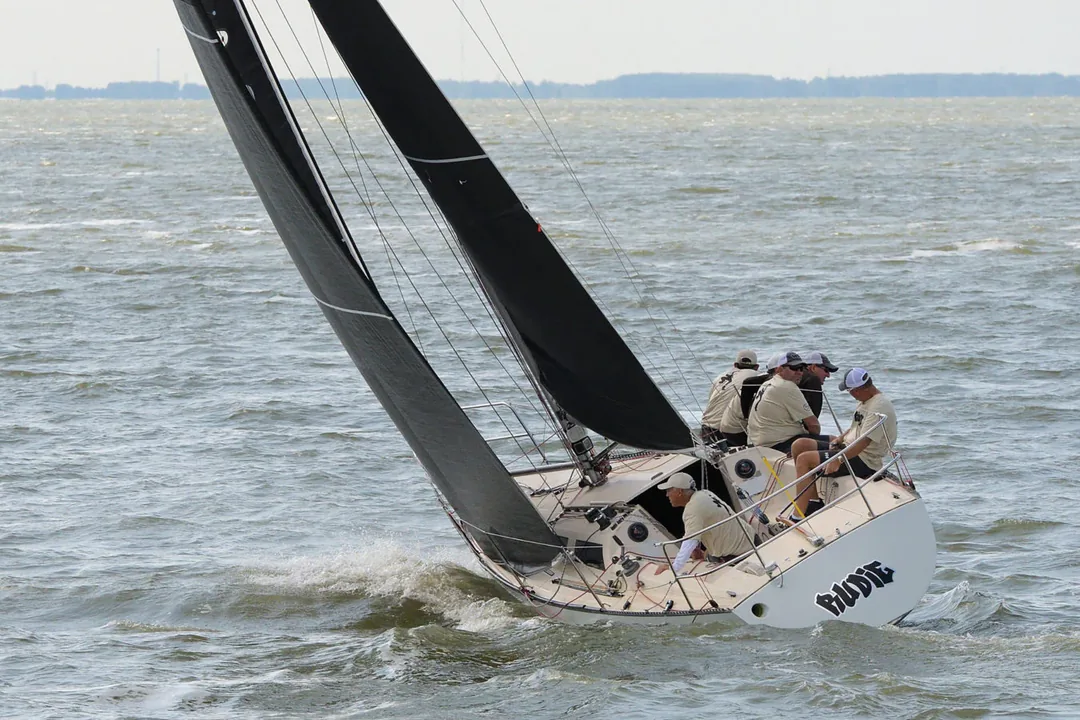 HOBIE 33 sailing