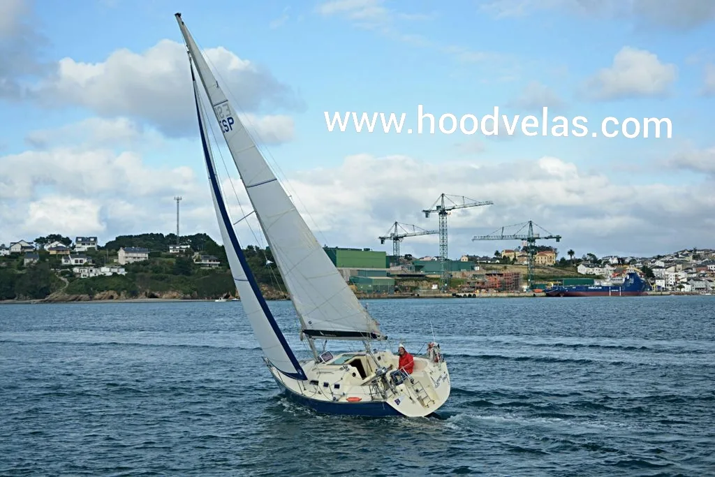 ASTRAEA 295 sailing