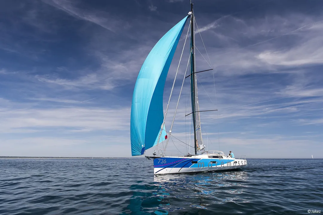 POGO 50 sailing