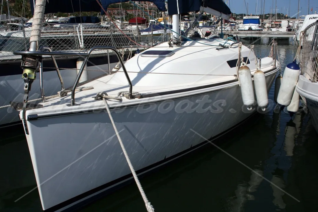 MALBEC 240 sailing