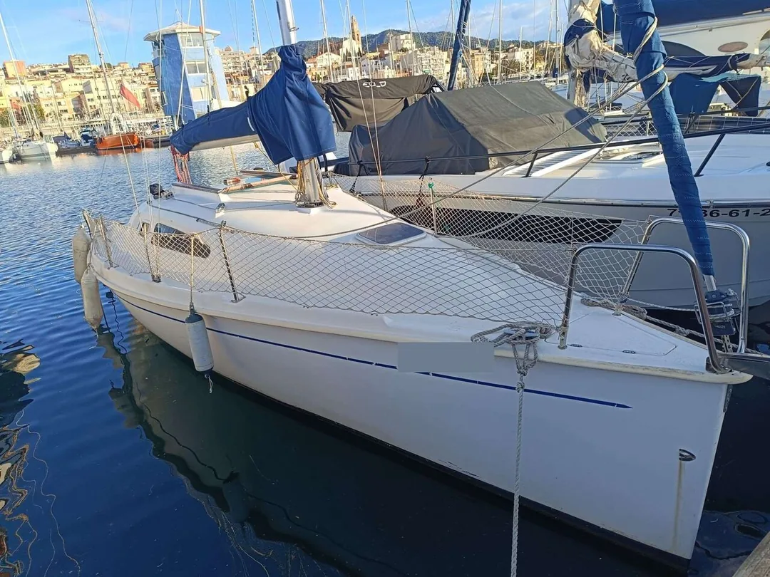 ASTRAEA 260 sailing