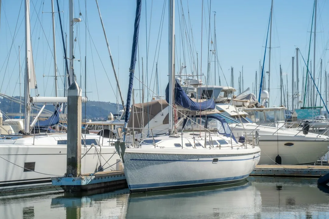 CATALINA 38 sailing