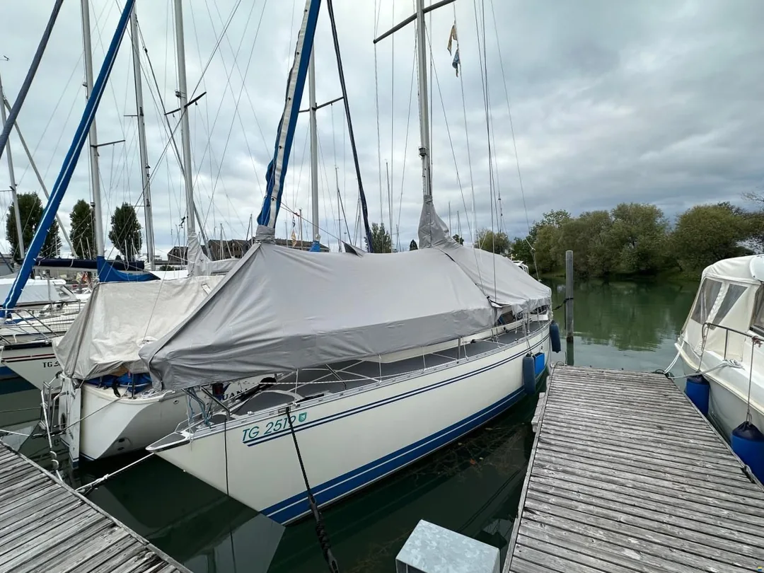 OLSEN 34 sailing