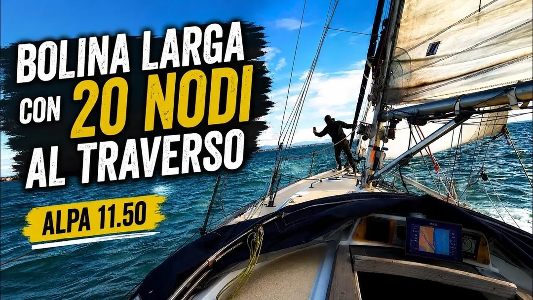 ALPA11.50 sailing
