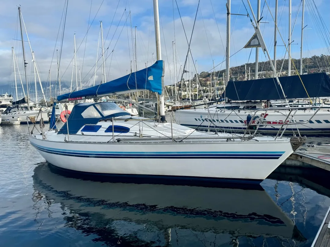 KNOOP 31 sailing