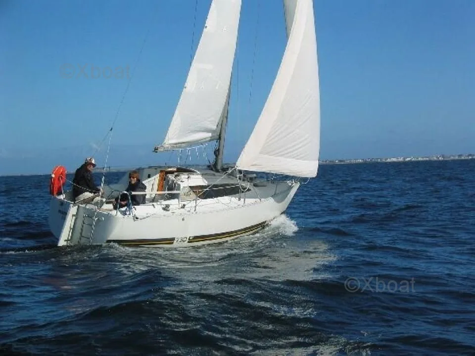 FEELING 720 sailing