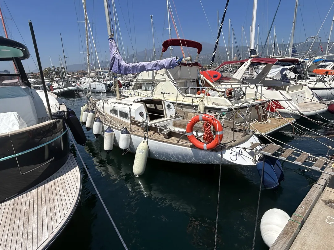PANDA29 sailing