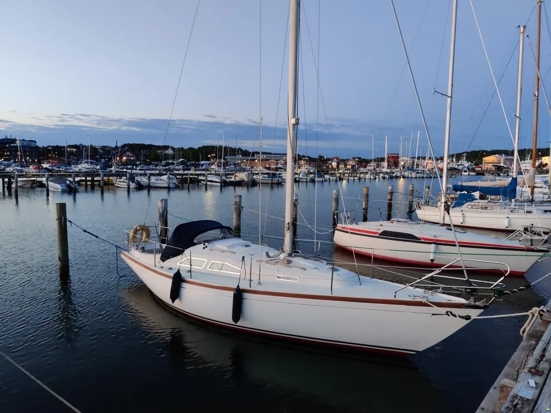 COMMANDER 31 sailing