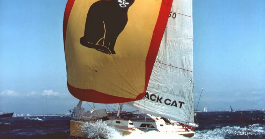 DIDI 38 sailing