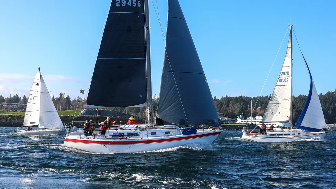 CAL 33 sailing