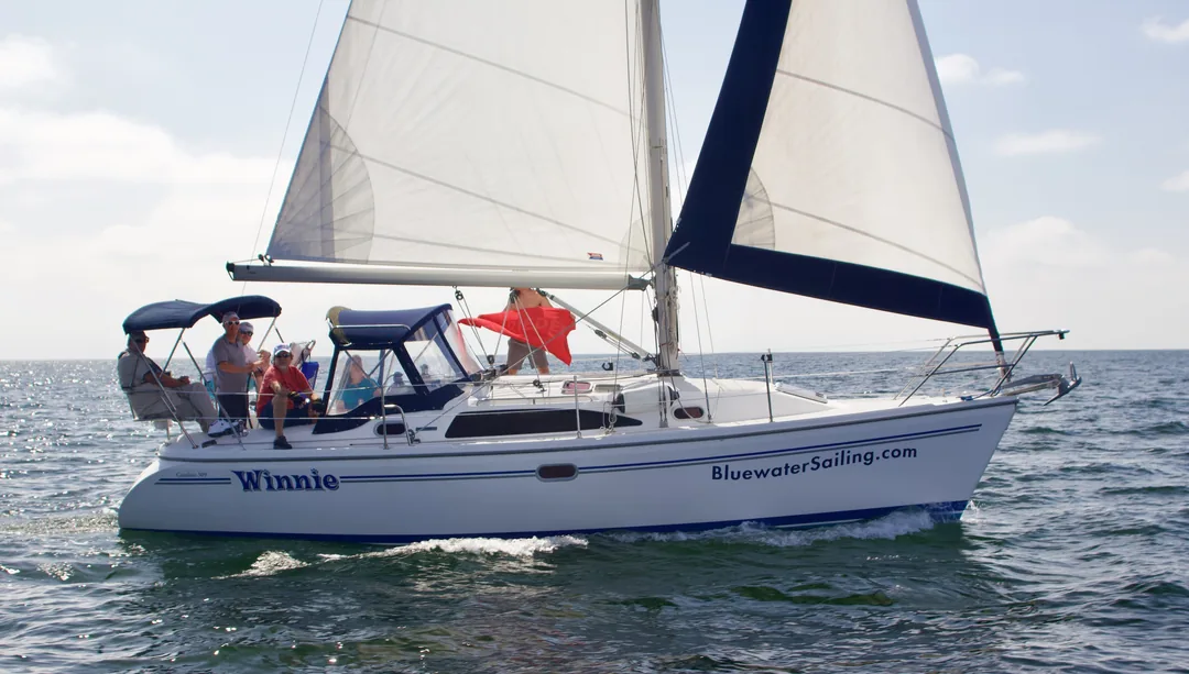 CATALINA 309 sailing