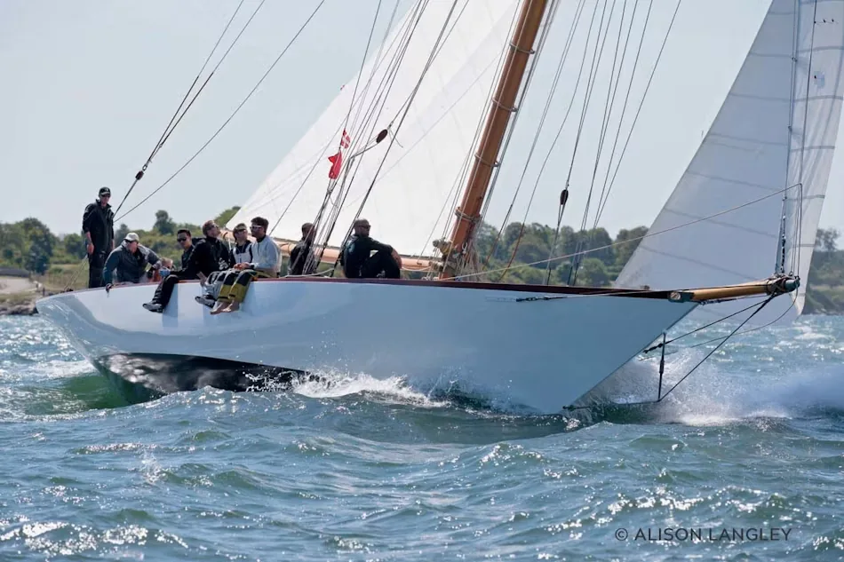 NY40 sailing